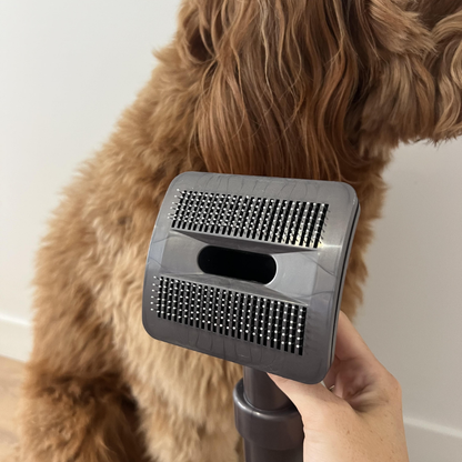 Fetch&Pooch™ The Groominator