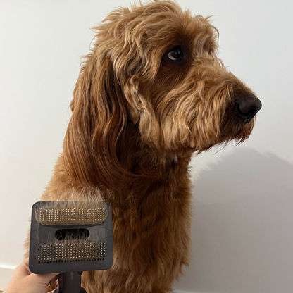 Fetch&Pooch™ The Groominator