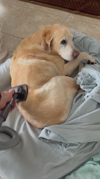 Fetch&Pooch™ The Groominator